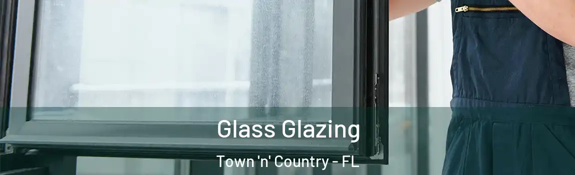  Glass Glazing Town 'n' Country - FL
