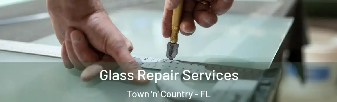  Glass Repair Services Town 'n' Country - FL