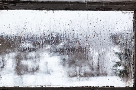 Defogging Double Pane Windows in Town 'n' Country, FL