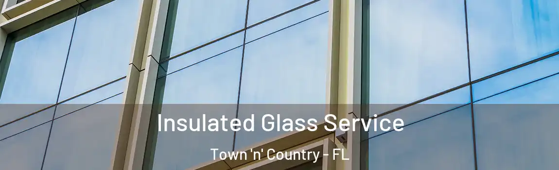  Insulated Glass Service Town 'n' Country - FL