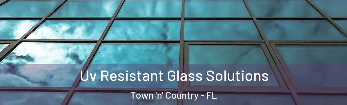  Uv Resistant Glass Solutions Town 'n' Country - FL